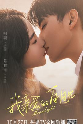 seo排名优化零金手指专业12